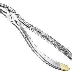 Extracting-Forceps-English-Pattern-Diamantiert-26.jpg