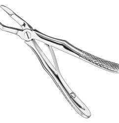 Extracting-Forceps-English-Pattern-For-Children-11.jpg