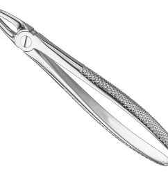 Extracting-Forceps-English-Pattern-Haftprofil-HP-19.jpg