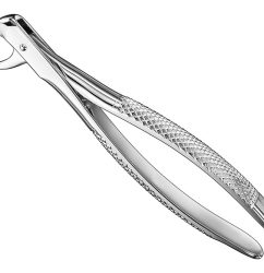 Extracting-Forceps-English-Pattern-Standard-36.jpg