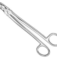 Extracting-Forceps-English-Pattern-Standard-40.jpg